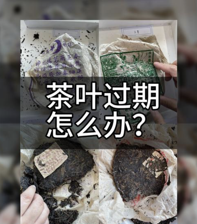 过期茶，该怎么处理？