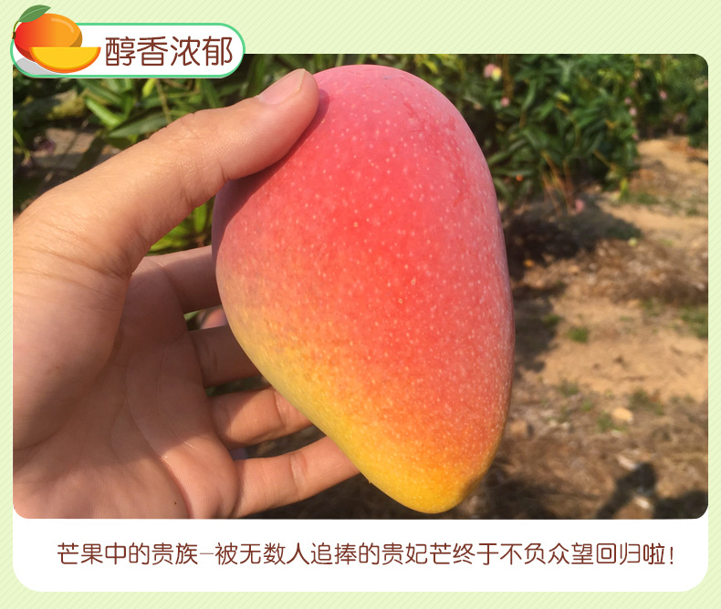 描述_06.jpg