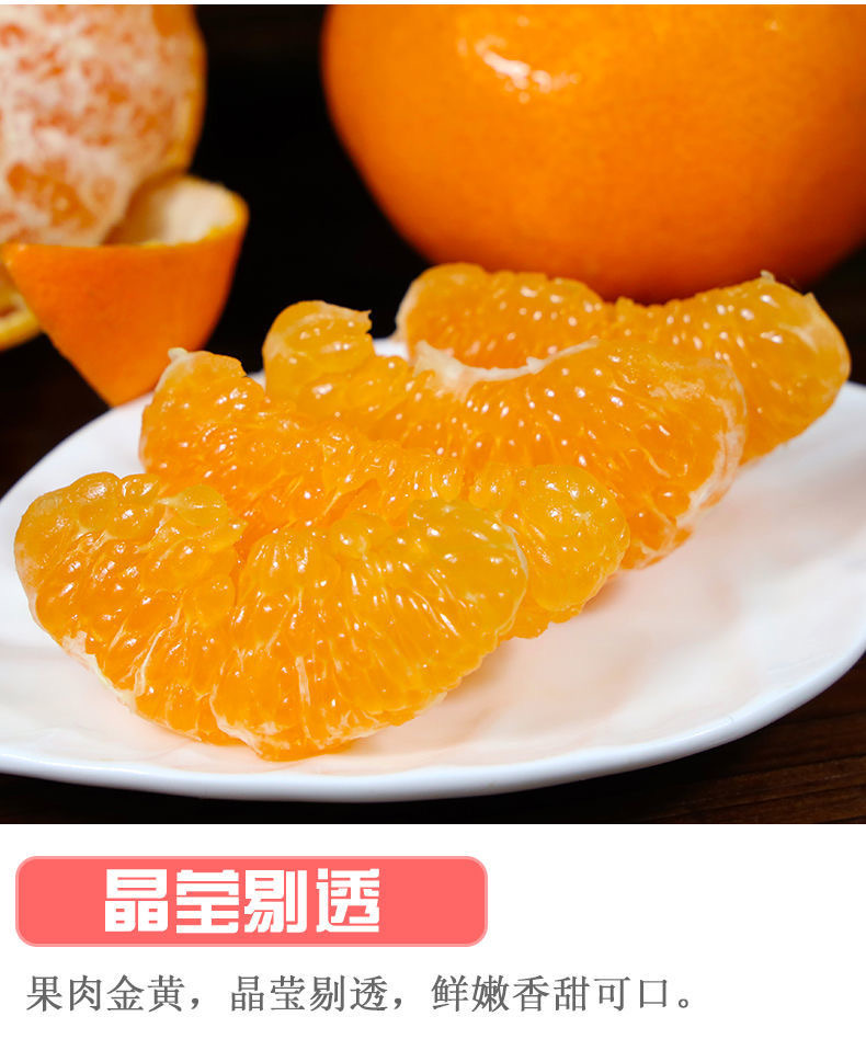10 - 副本.jpg
