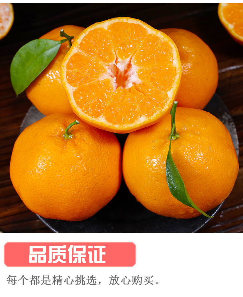 11 - 副本.jpg