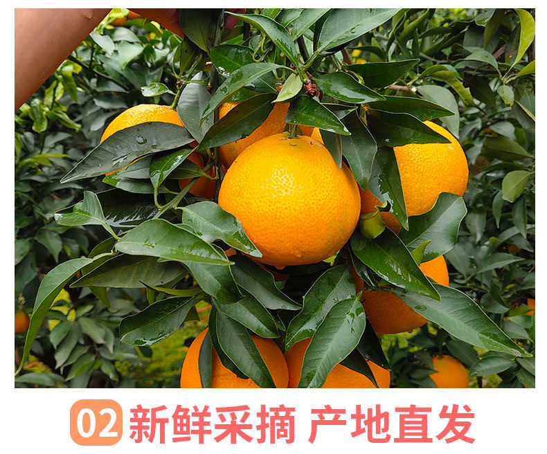 4 - 副本.jpg