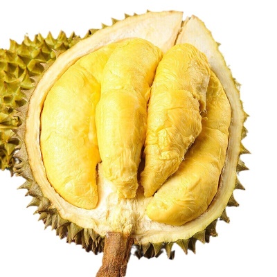 泰国金枕榴莲整箱现货鲜榴莲整果源头 鲜果带壳时令生鲜 一件代发