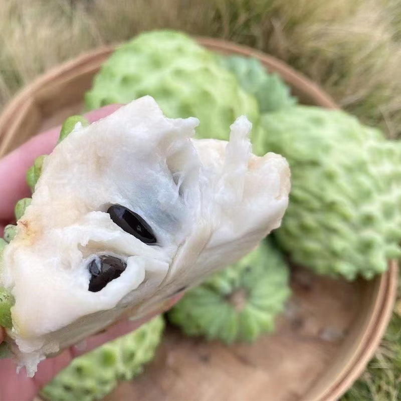 释迦果2