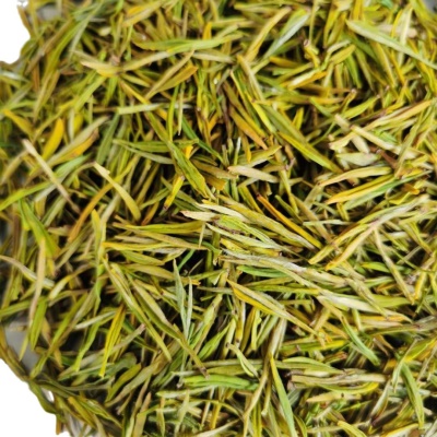 2025年新茶高山黄金芽绿茶浓香耐泡电商口粮茶散装袋装礼盒装