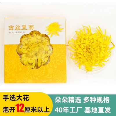 四十年基地 安徽黄山金丝皇菊批发一杯一朵菊花茶独立装金丝黄菊