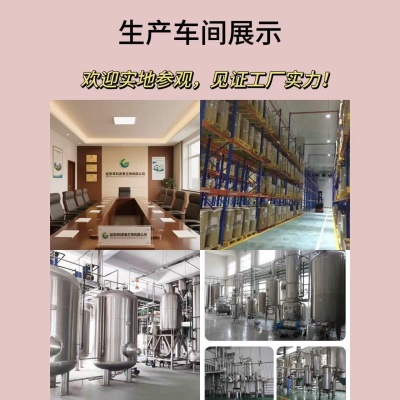 抹茶粉 99% 抹茶原粉 500目以上 萃科生物现货 全国包邮