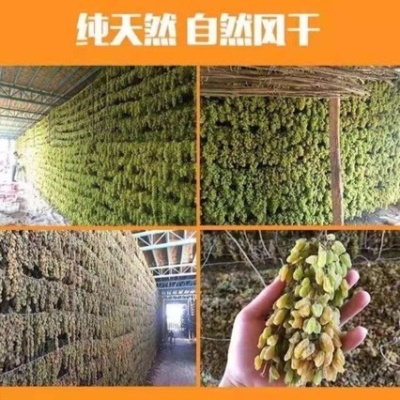 【厂家代发】新疆绿葡萄干大颗即食黑加仑散装葡萄干吐鲁番小包装