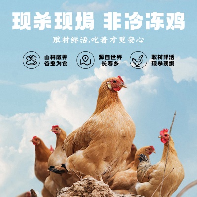 真庄广东梅州客家特产盐焗鲜活现焗走地鸡餐桌下饭菜咸香整只大鸡