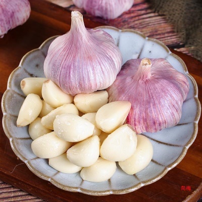 山东金乡祘头籽10批发2024新鲜大蒜头干蒜5斤蒜子斤3紫皮斤农家
