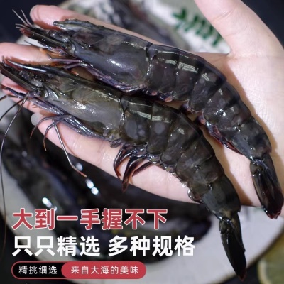 黑虎虾大号新鲜大虾鲜活虎虾海鲜水产斑节虾对虾老虎虾青虾九节虾