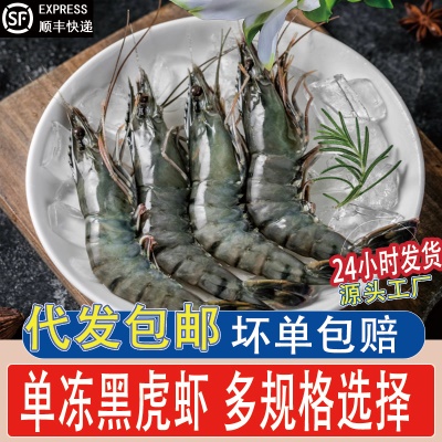 黑虎虾大号新鲜大虾鲜活虎虾海鲜水产斑节虾对虾老虎虾青虾九节虾