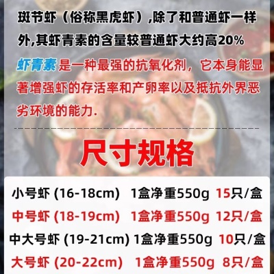 黑虎虾大号新鲜大虾鲜活虎虾海鲜水产斑节虾对虾老虎虾青虾九节虾