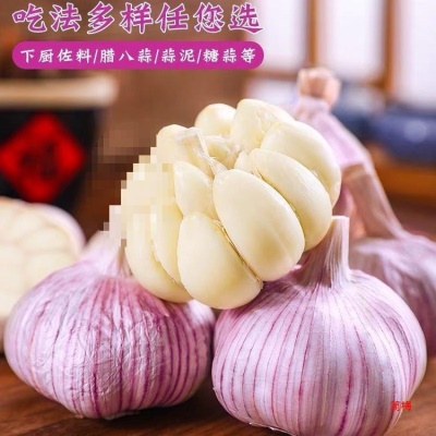 山东金乡祘头籽10批发2024新鲜大蒜头干蒜5斤蒜子斤3紫皮斤农家