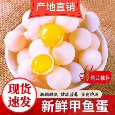 甲鱼蛋食用外塘甲鱼农家便宜鳖蛋蛋网红蛋蛋