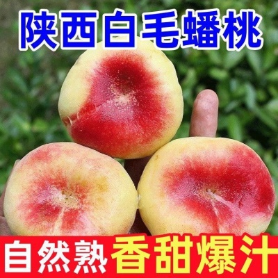 陕西毛蟠桃扁桃水蜜桃新鲜桃子孕妇水果应季王母蟠桃
