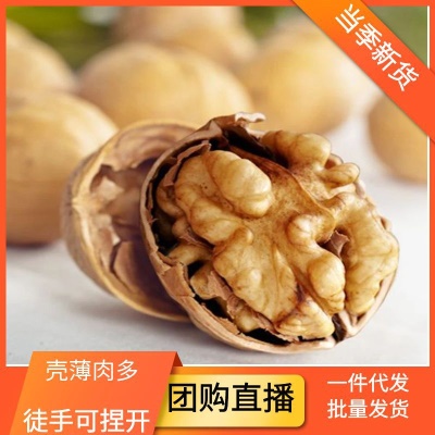 新货新疆纸皮核桃批发阿克苏生核桃185核桃新疆特产原味薄皮核桃