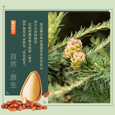新货东北松子特大定制坚果休闲零食厂家特产野生开口手剥松子干果