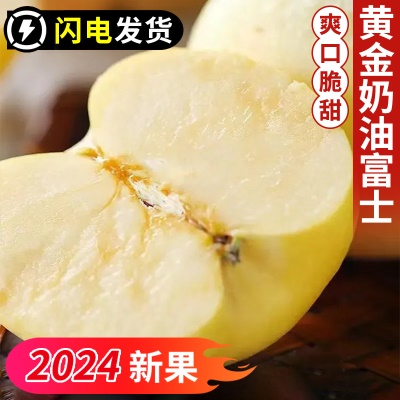 【奶油富士】山东奶油富士2024新鲜大果黄金维纳斯奶油苹果批发