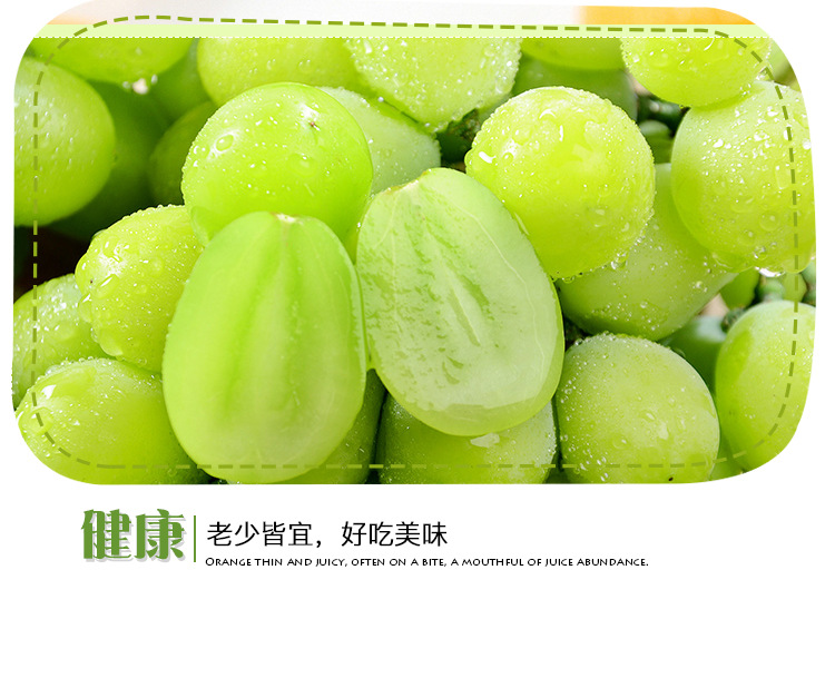 阳光玫瑰葡萄_11.jpg