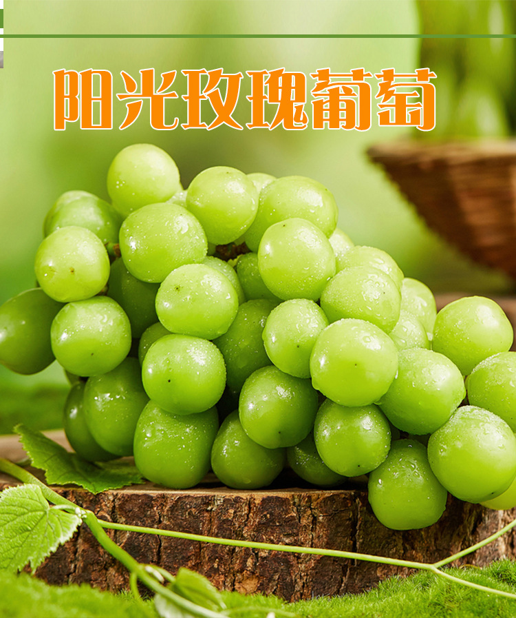 阳光玫瑰葡萄_01.jpg