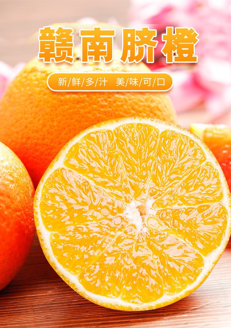 详情页1.jpg