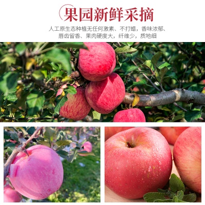 【淡雪条纹】正宗烟台苹果栖霞红富士脆甜新鲜水果整箱产地直发