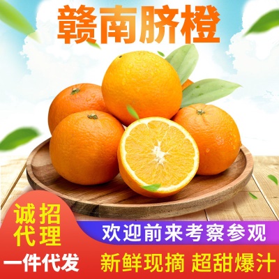 【产地直发】赣南脐橙新鲜水果当季夏橙现摘10斤甜橙赣州橙子批发