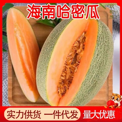 正宗哈蜜瓜9斤整箱西州蜜瓜网纹瓜当季水果生鲜批发5海南甜瓜生鲜