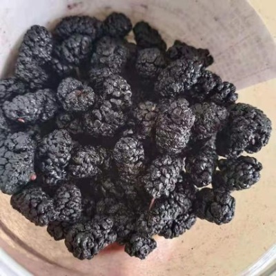 新疆桑葚干2斤桑葚果桑葚子泡茶即食250g桑椹子黑桑椹新鲜散装