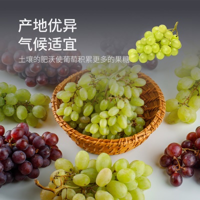 新疆三色葡萄干罐装大粒颗500g即食绿香妃黑加仑红提水果干小零食