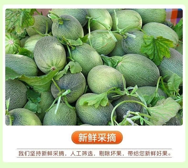 10 - 副本.jpg