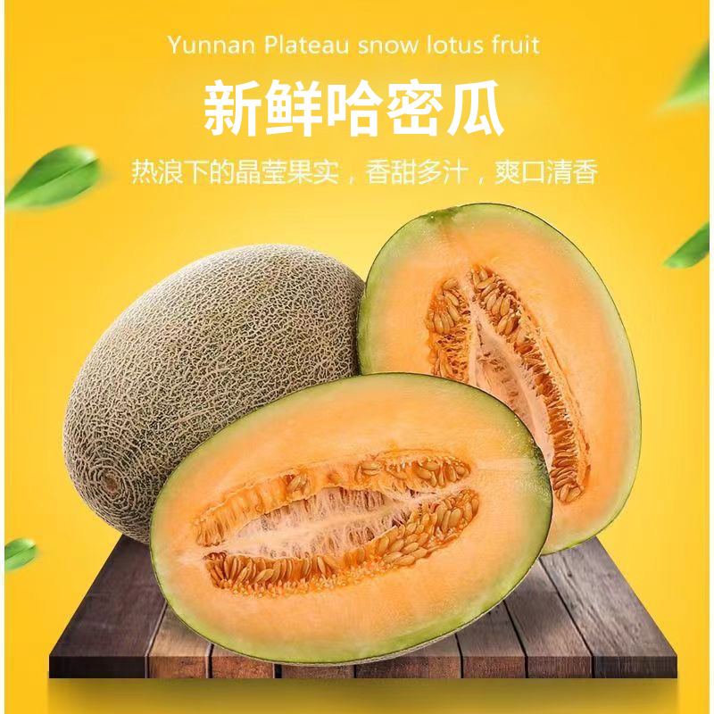 1 - 副本.jpg