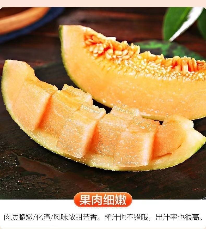 5 - 副本.jpg
