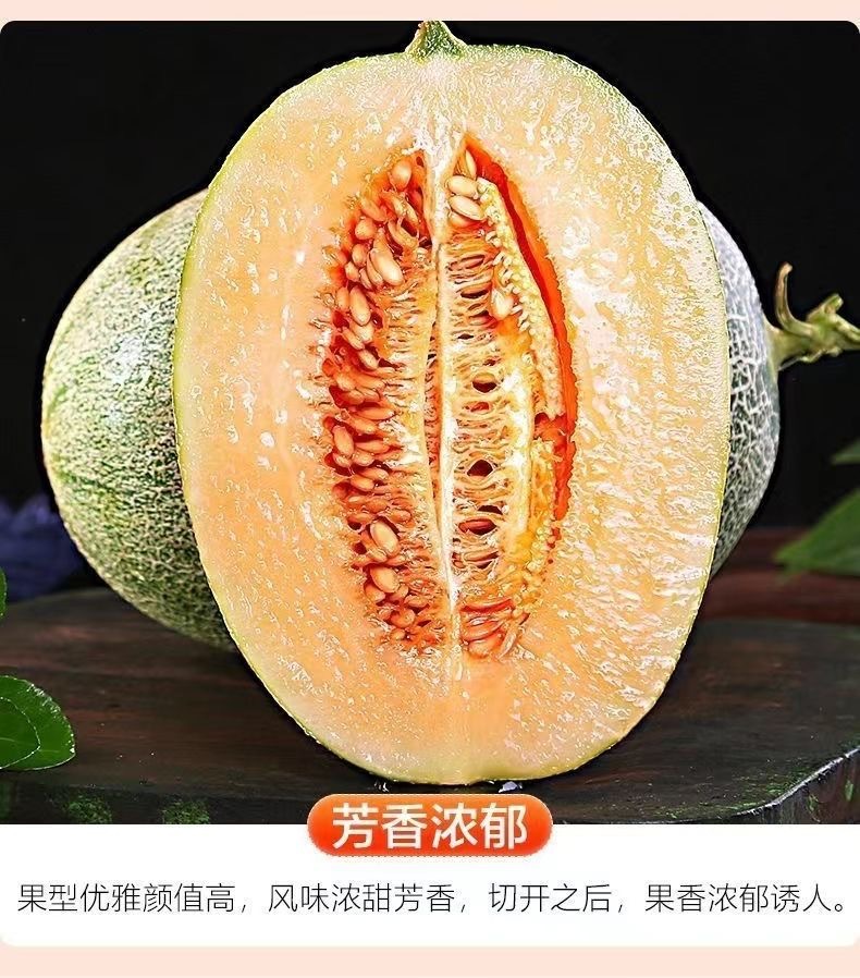 8 - 副本.jpg