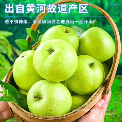 梨子新鲜水果砀山青梨皇冠梨当季翠冠梨香酥脆蜜早雪梨整箱包邮