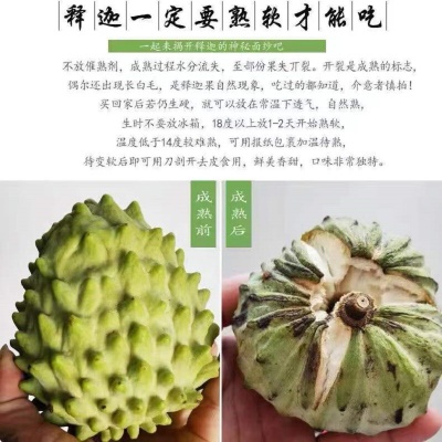 广州江南批发直发【顺丰】泰国大目释迦果进口番荔枝10斤鲜果水果
