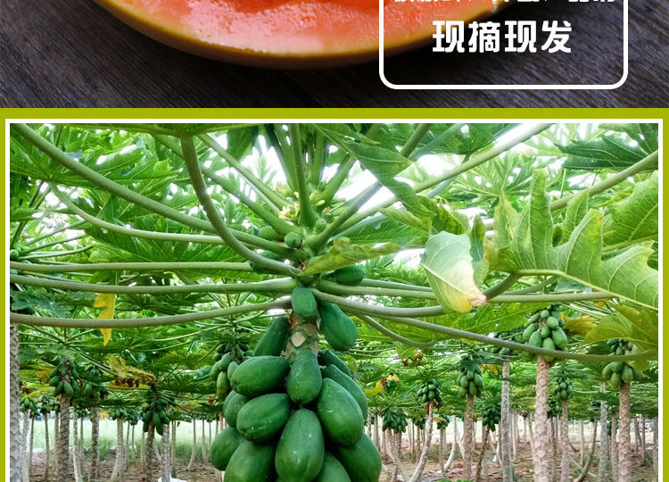 9 - 副本.jpg