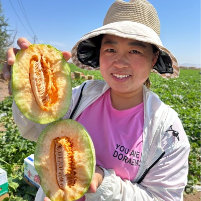 正宗新疆哈密瓜西州蜜25号新鲜水果应季现摘甜瓜网纹新疆直发代发