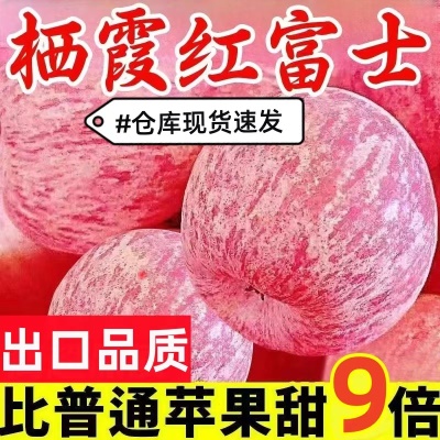正宗烟台栖霞红富士苹果脆甜多汁新鲜苹果应季水果整箱包邮批发