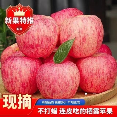 正宗烟台栖霞红富士苹果脆甜多汁新鲜苹果应季水果整箱包邮批发