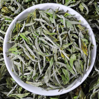 正宗福建新茶白茶一级花香白牡丹散茶明前高山春茶嫩芽茶叶