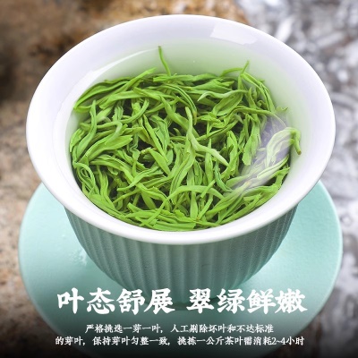 绿茶新茶春茶碧螺春毛尖日照高山云雾绿茶叶