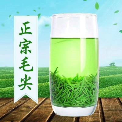 2025新茶绿茶河南毛尖茶叶自己喝正宗雨前春茶炒青茶罐装清香型
