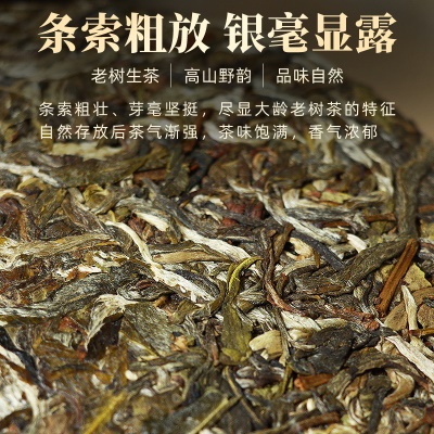 口粮茶云南普洱生茶批发厂家直发班章茶皇大叶种晒青茶饼普洱茶饼