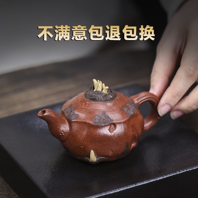 宜兴手工紫砂壶 红降坡 竹芽飘香 家用茶具茶壶泡茶壶