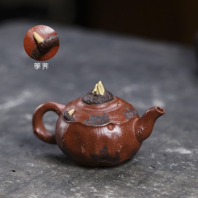 宜兴手工紫砂壶 红降坡 竹芽飘香 家用茶具茶壶泡茶壶