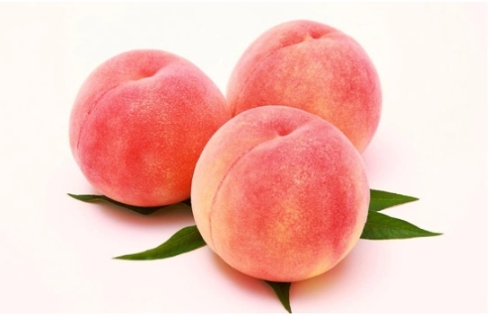 u=3862987965,3251321558&fm=253&fmt=auto&app=138&f=PNG.webp.jpg