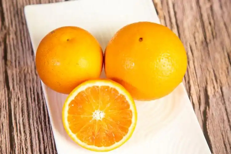 u=1288179217,2767826998&fm=253&fmt=auto&app=138&f=JPEG.webp.jpg