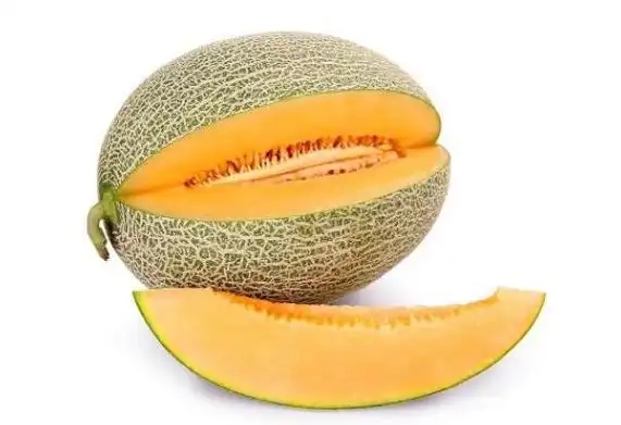 u=96296703,3570784621&fm=253&fmt=auto&app=138&f=JPEG.webp.jpg