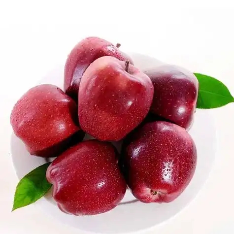 u=2288500935,1724466056&fm=253&fmt=auto&app=120&f=JPEG.webp.jpg